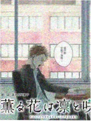 秋霞神马影院电视剧